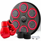 Music Boxing Machine Bluetooth Professional + Free Gloves