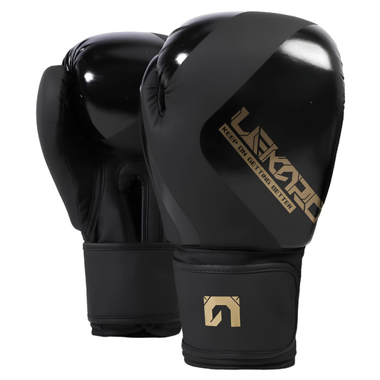 Boxing Gloves for Beginners and Professionals